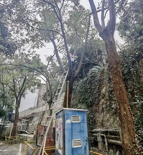 和记娱乐·H88(中国游)怡情博娱官网